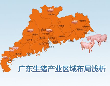 区域布局(2008年~2020年,将各省划分为东部,西部,北部和中部四大